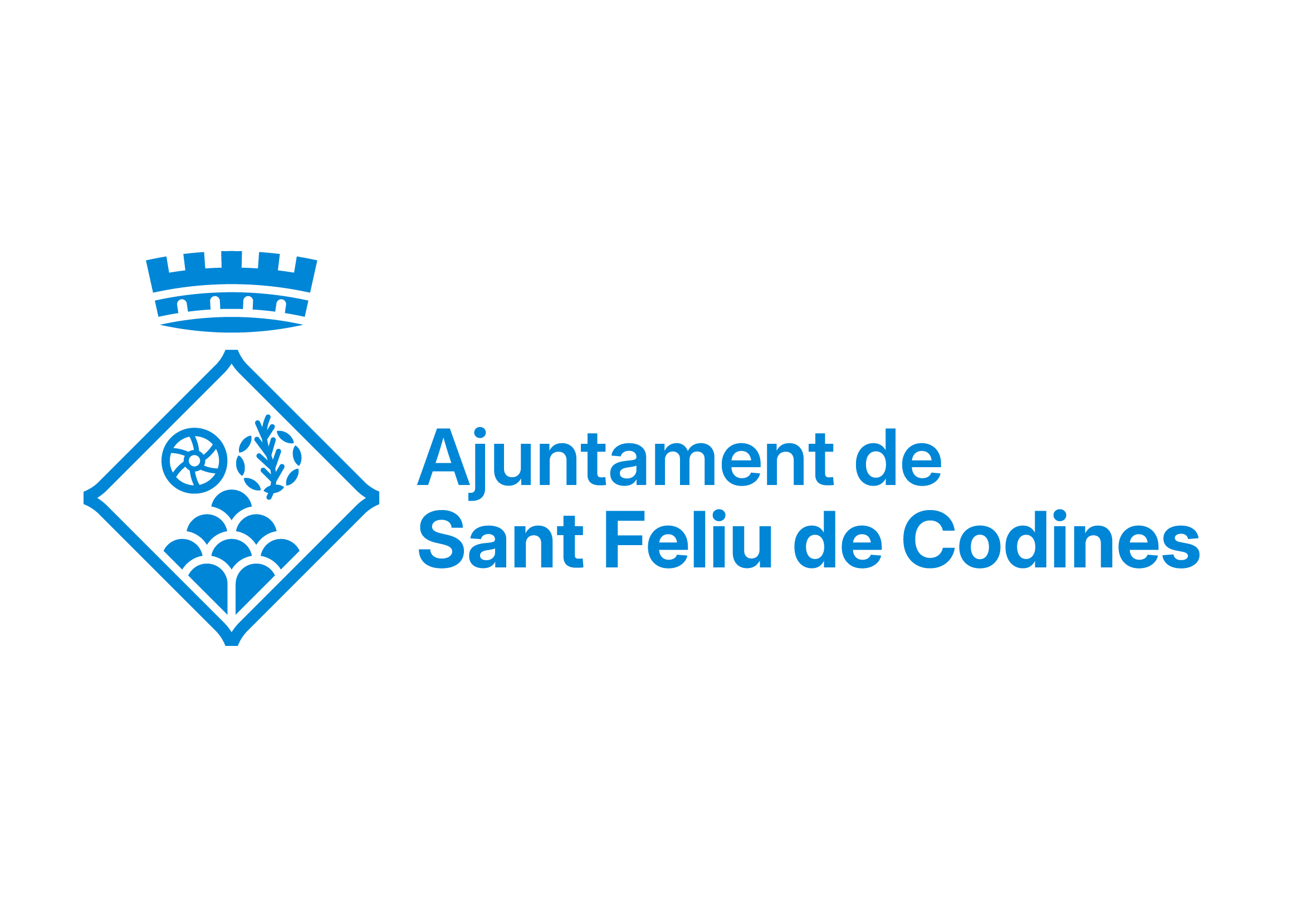Ajuntament de Sant Feliu de Codines